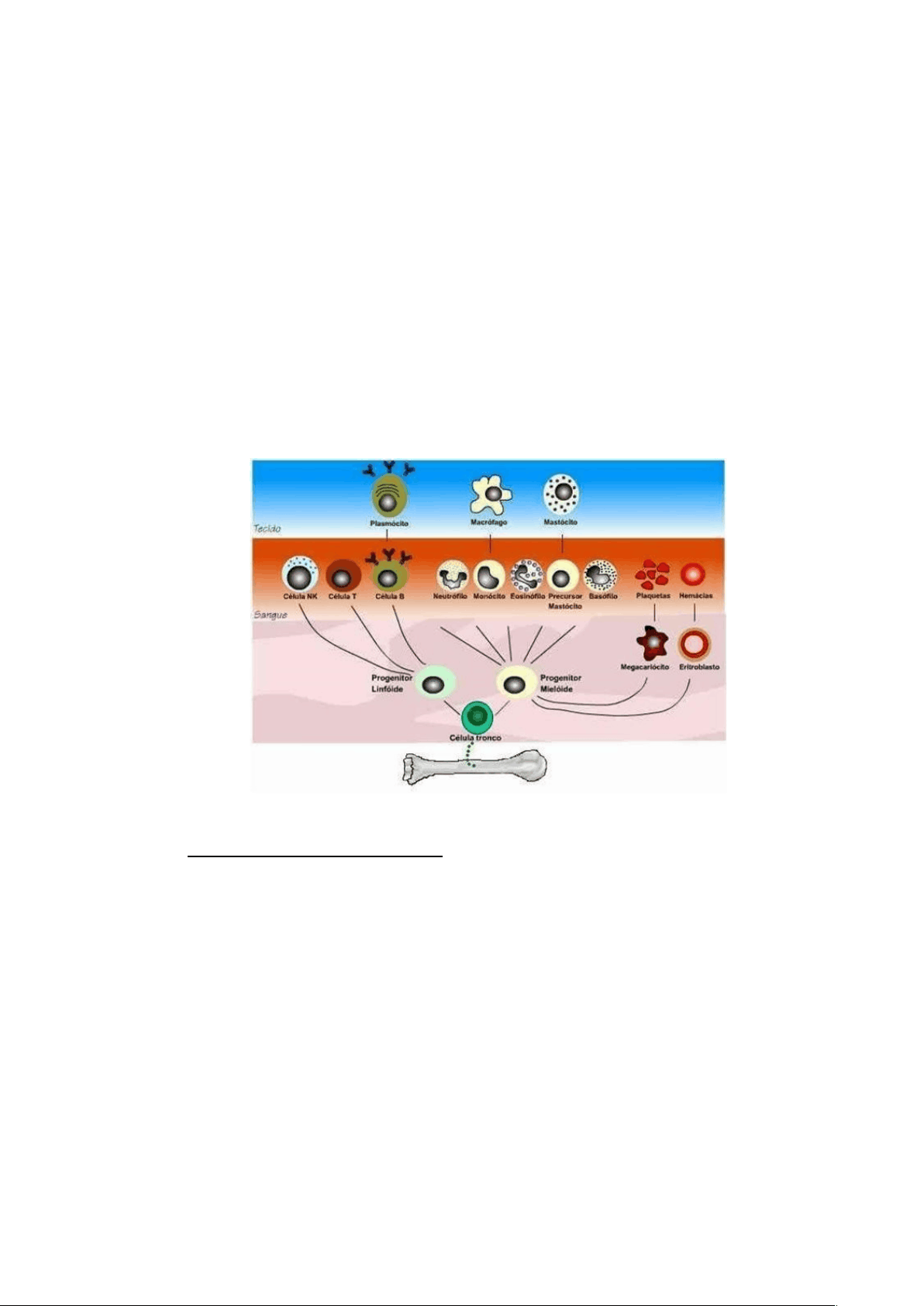 bg1