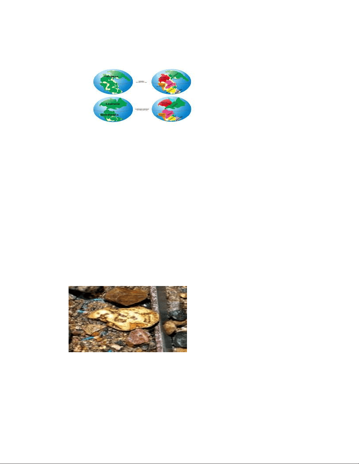 bg1