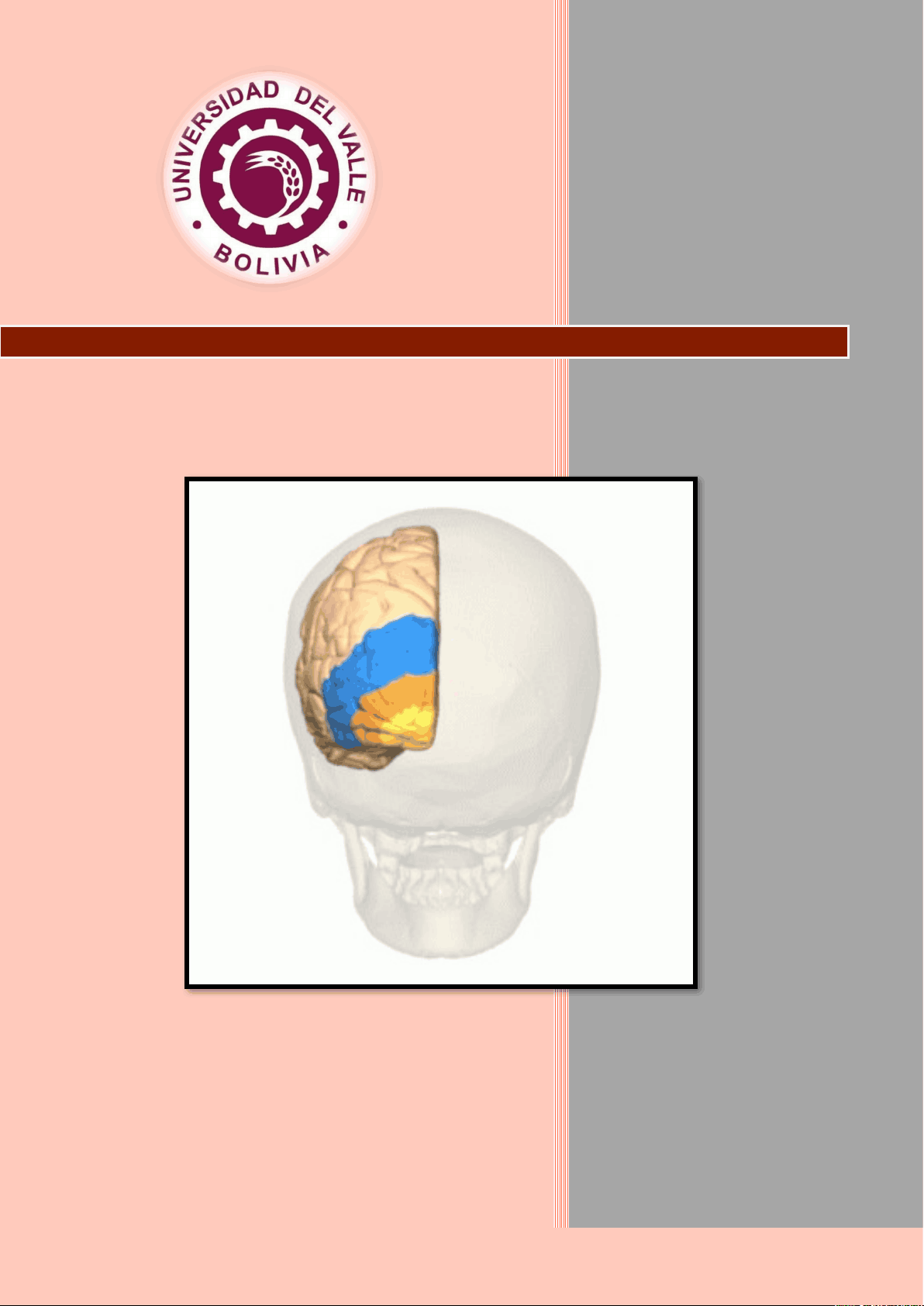 bg1