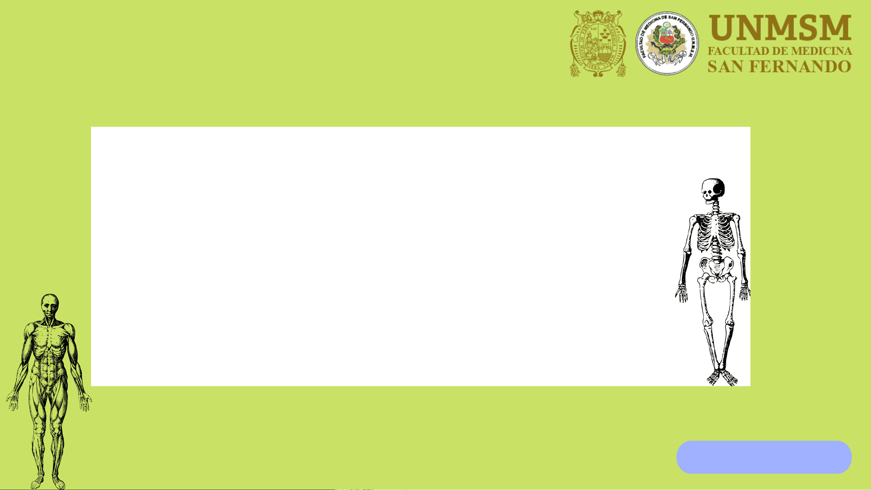 bg1