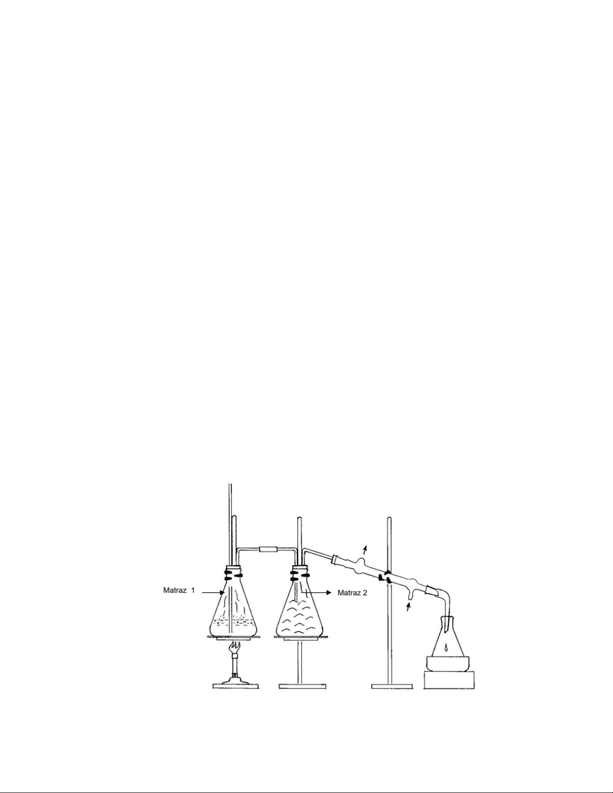 bg1