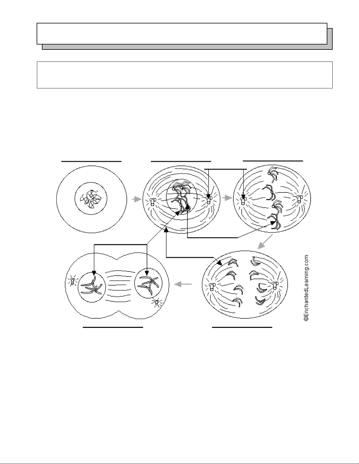 bg1