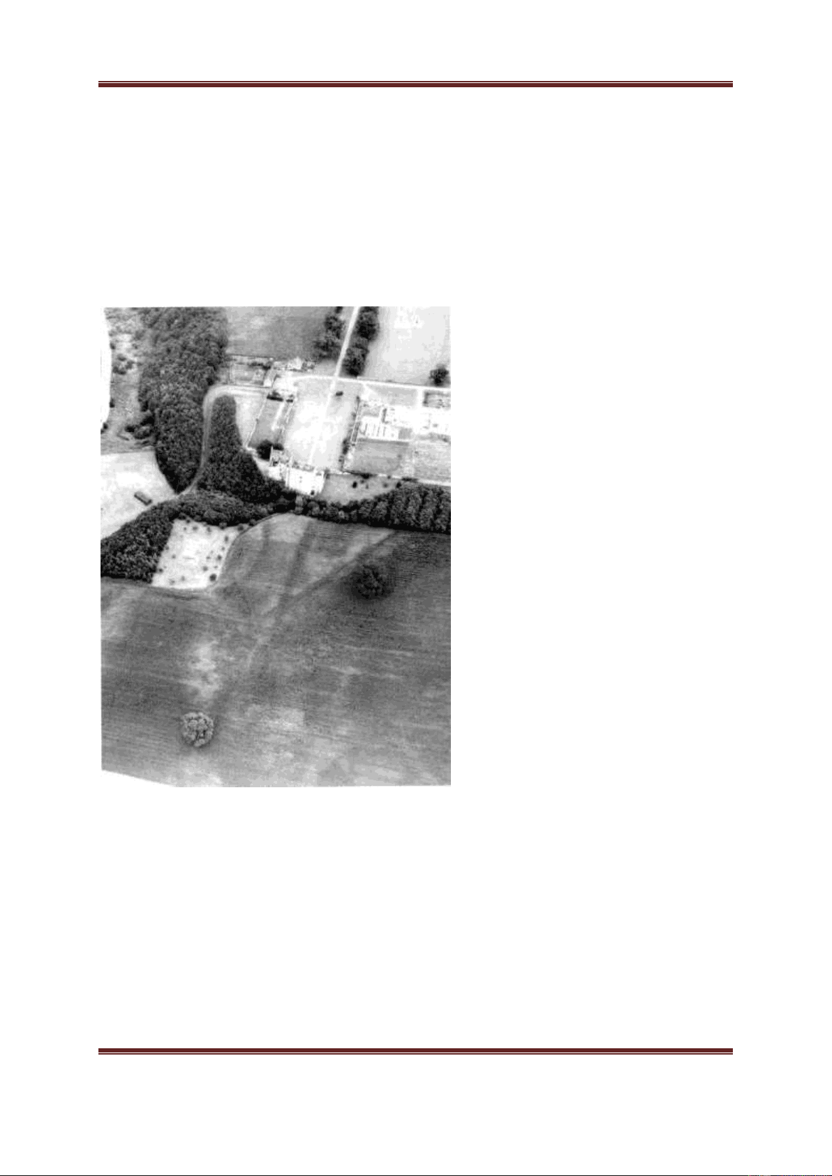 bg1