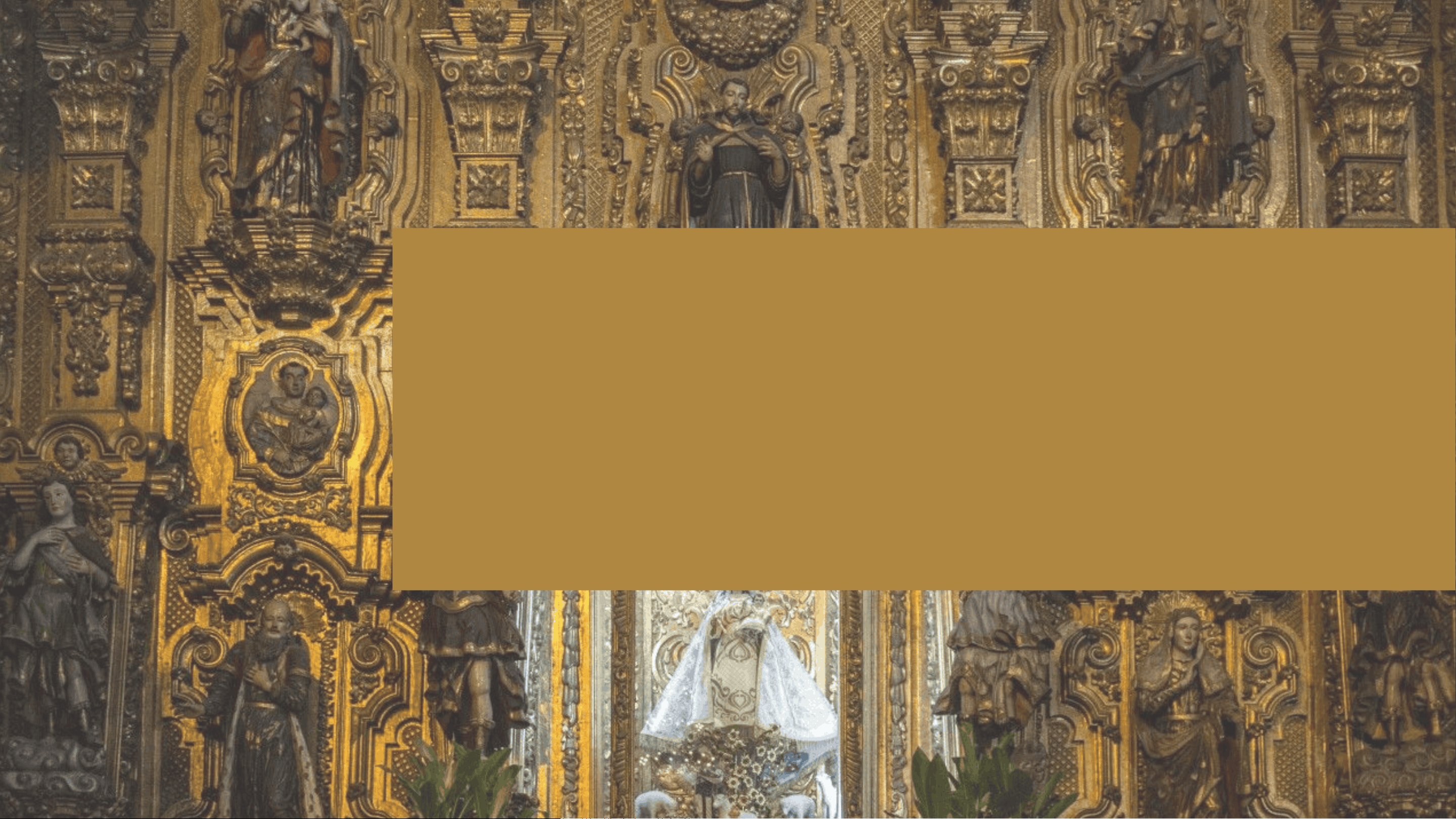 bg1