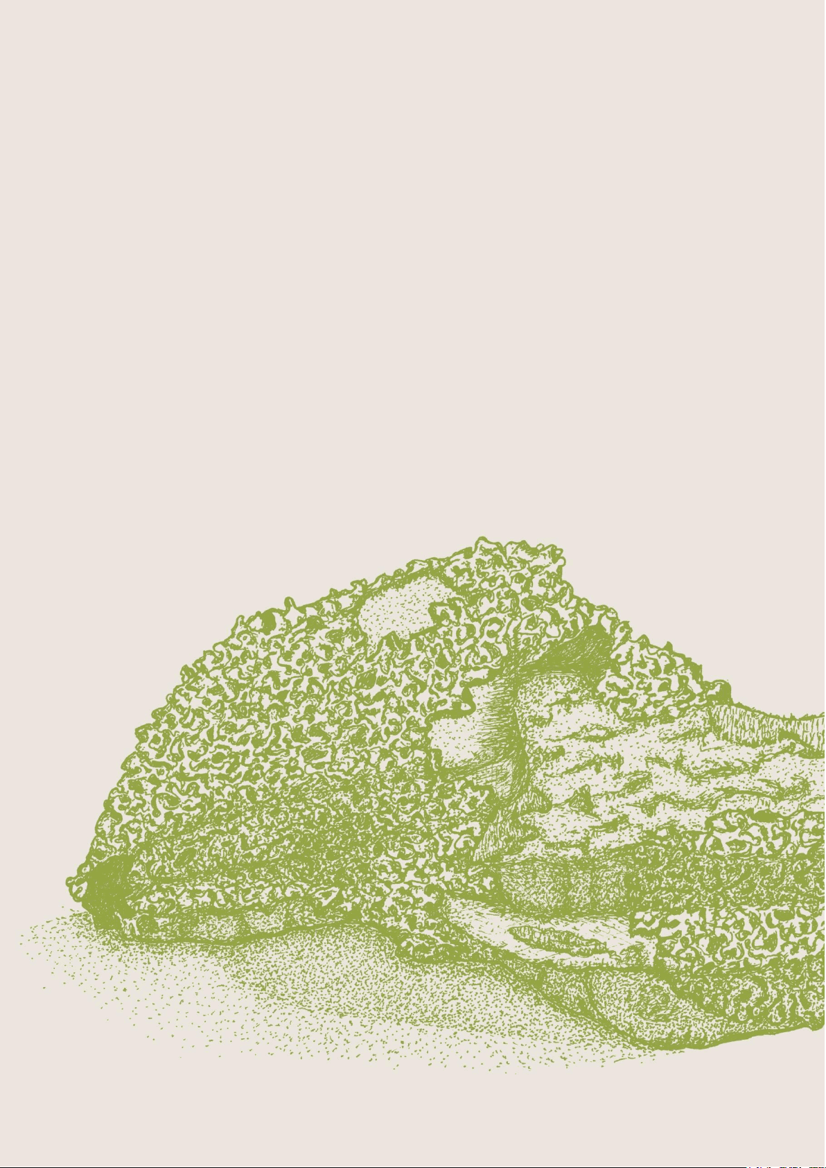 bg1