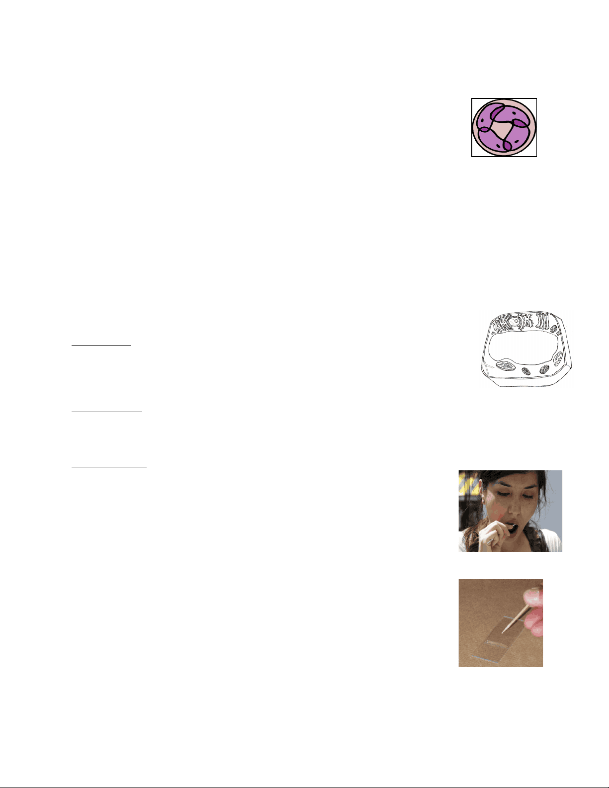 bg1