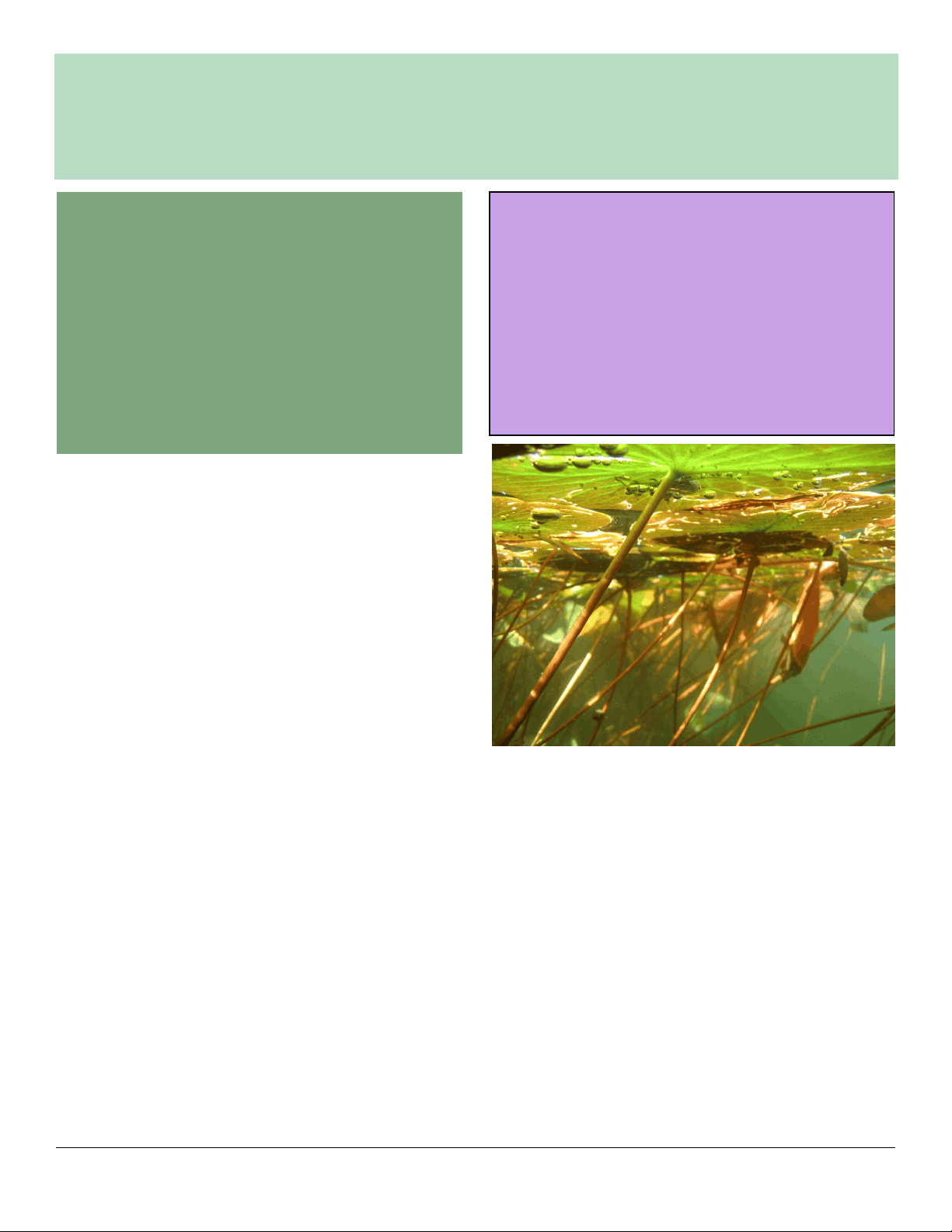 bg1