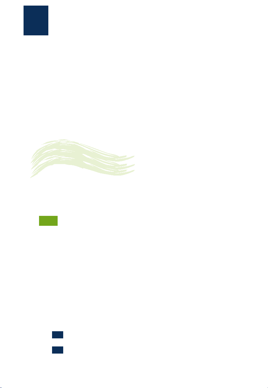 bg1