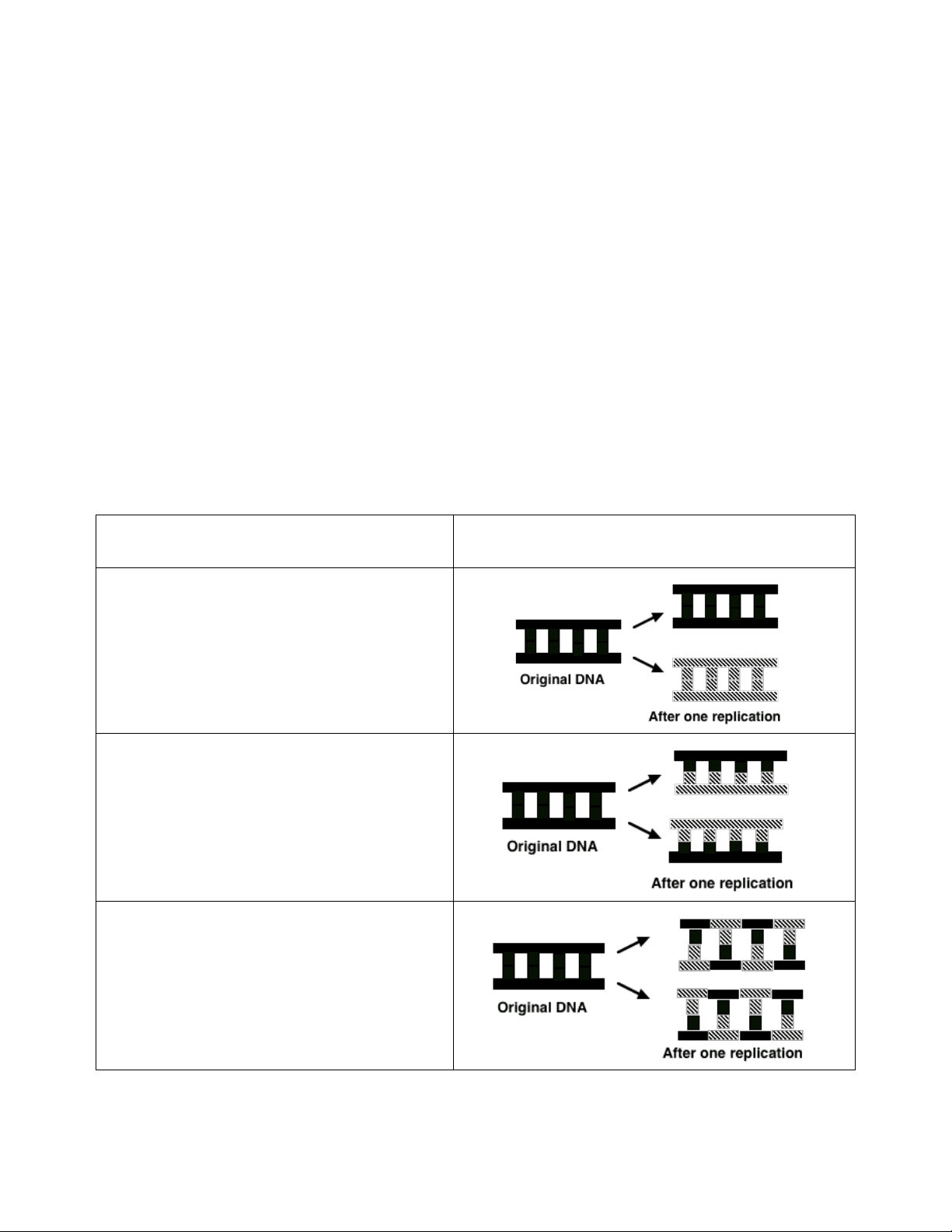 bg1