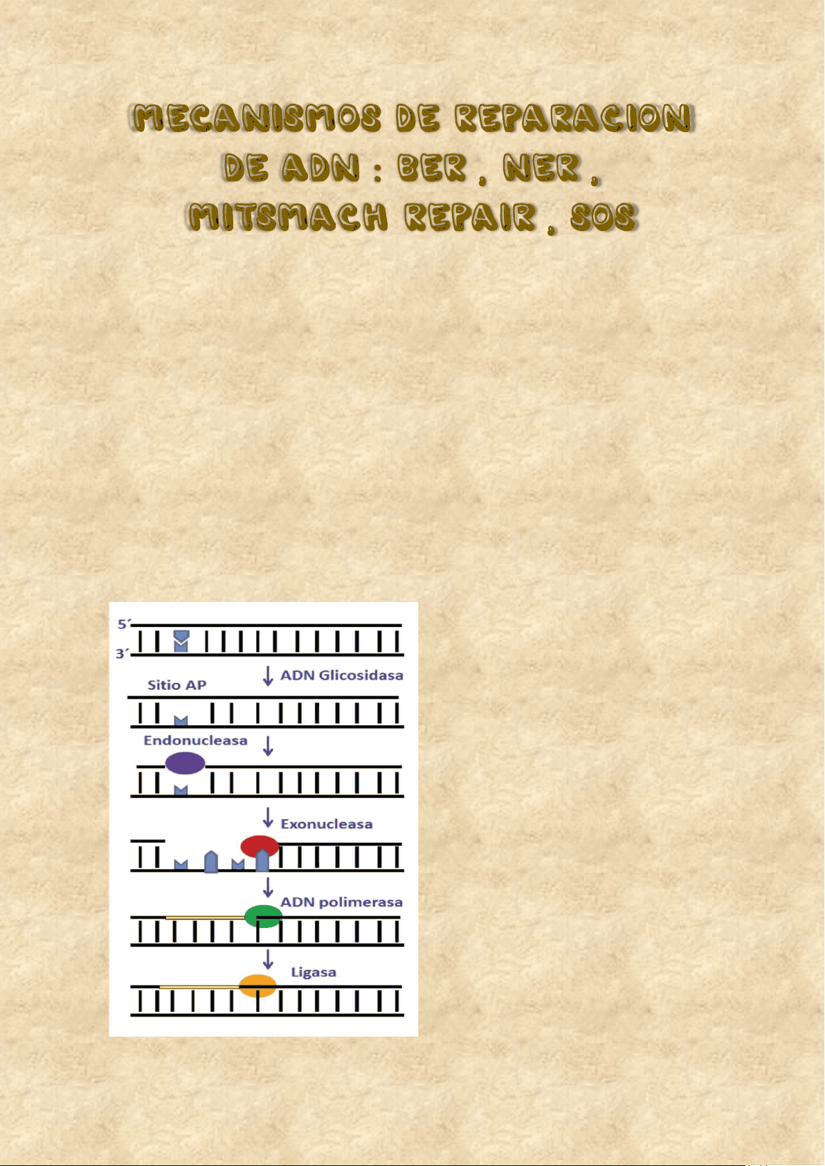 bg1
