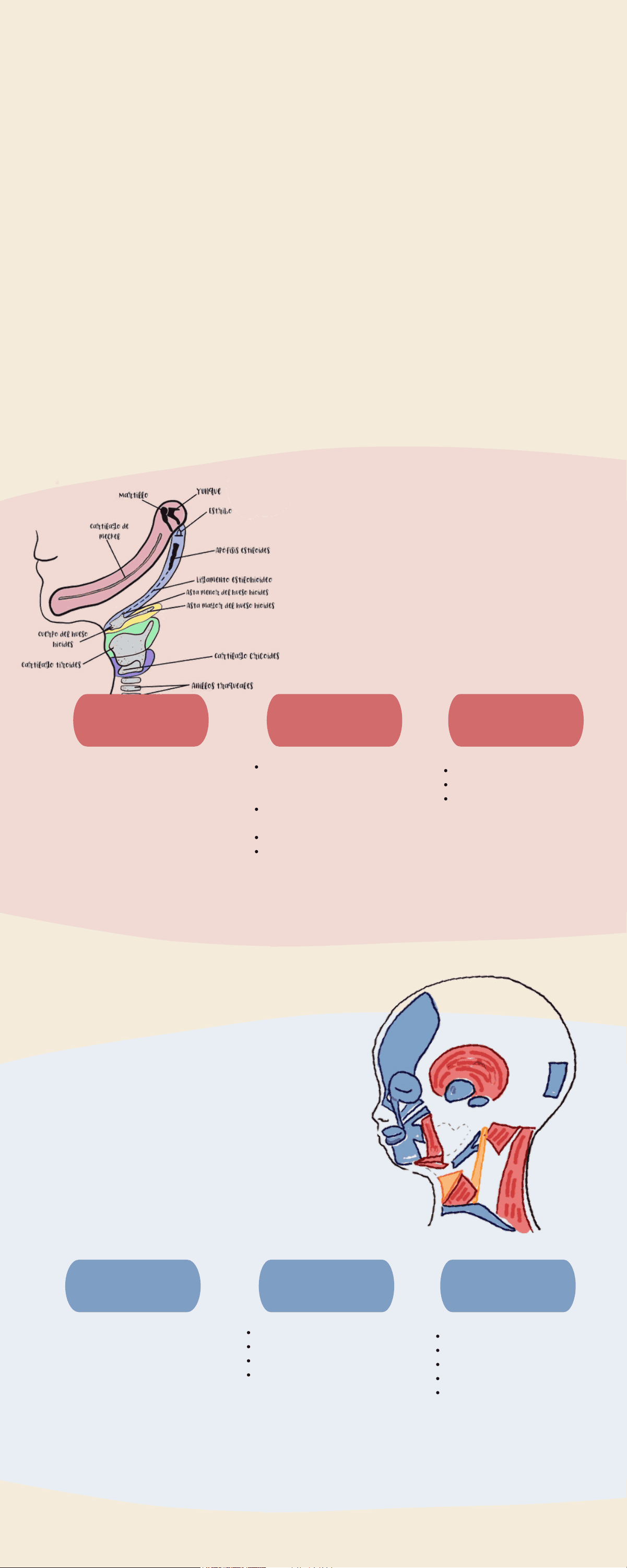 bg1