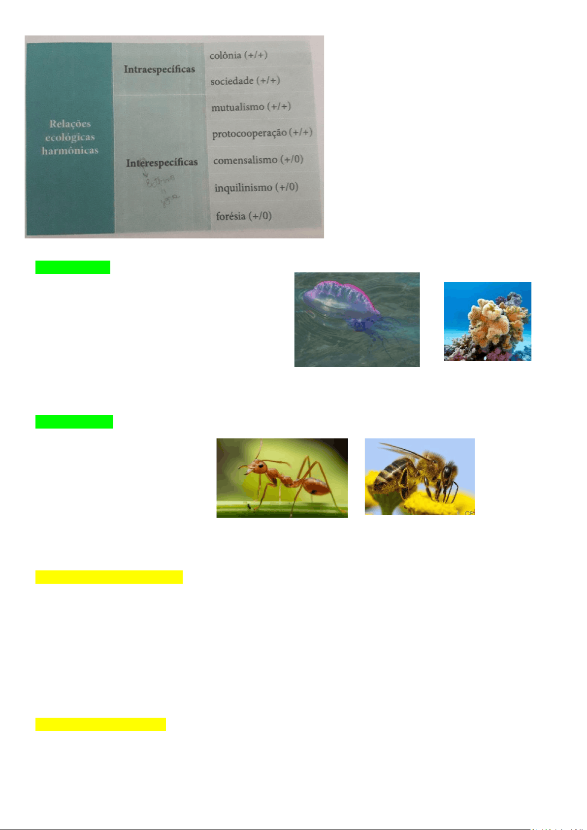 bg1