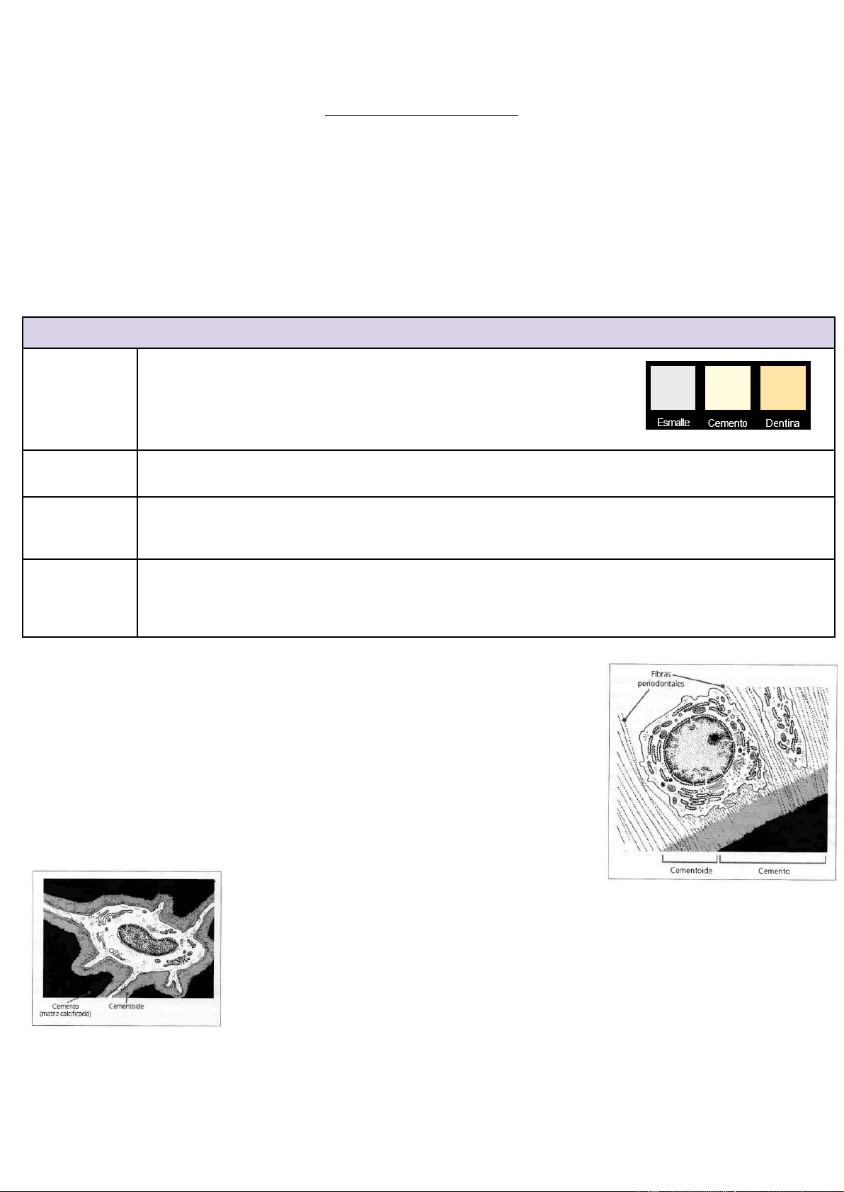 bg1