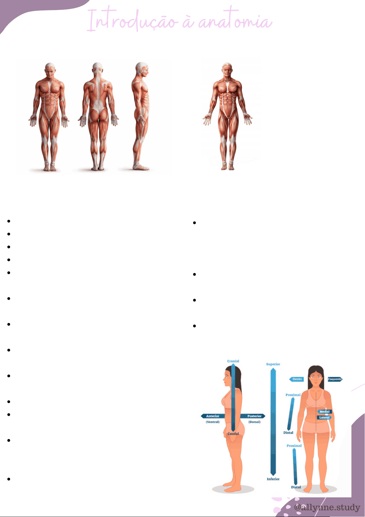 bg1
