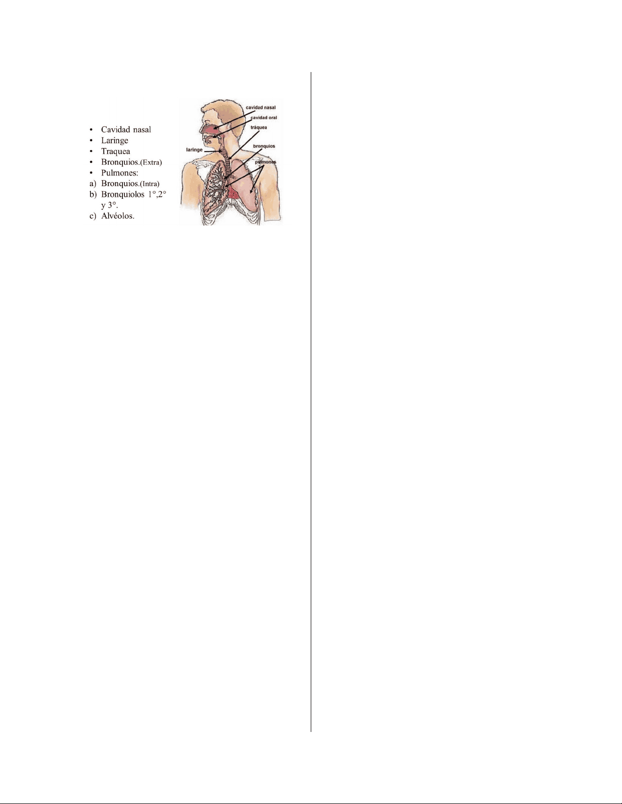 bg1