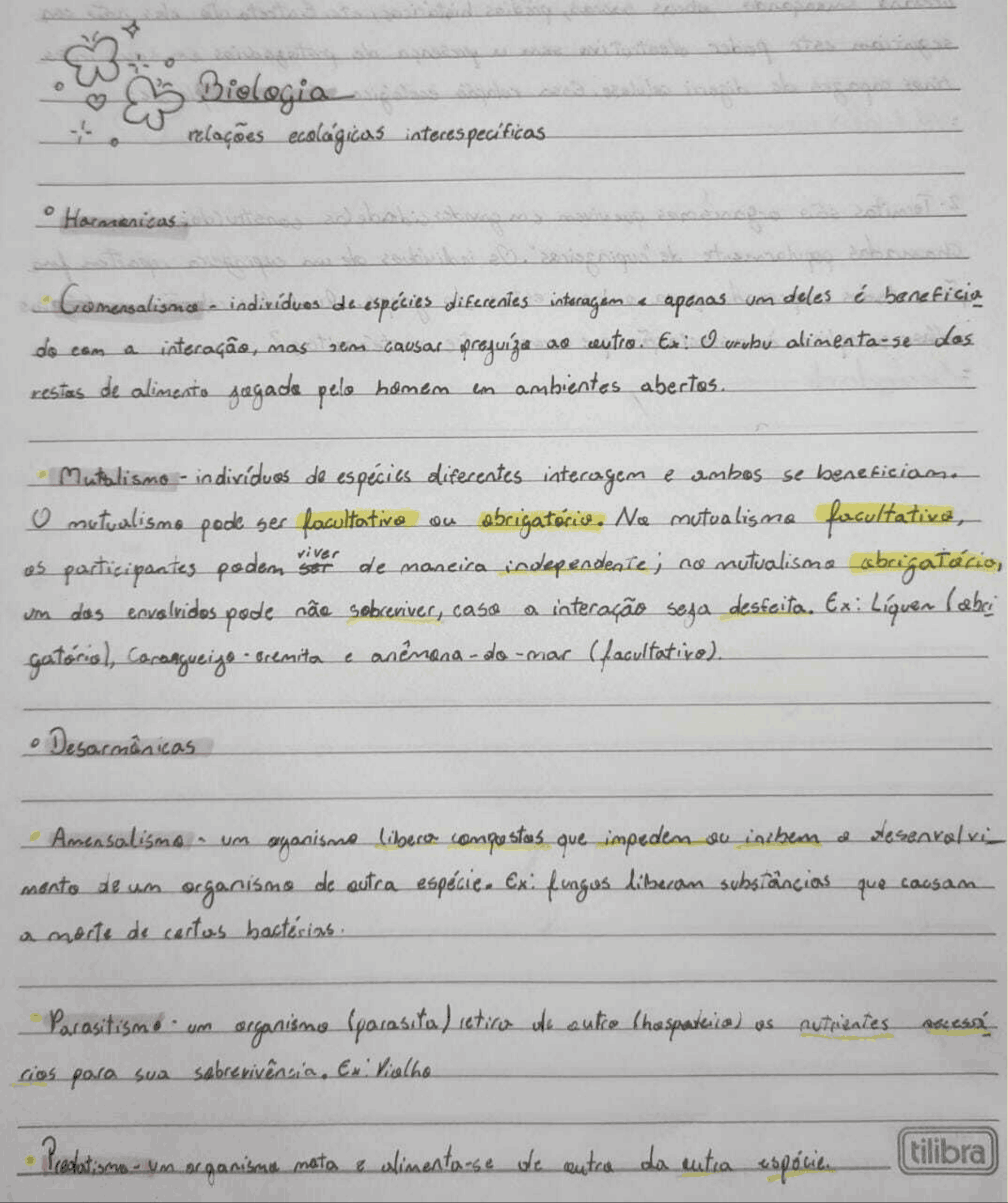 bg1