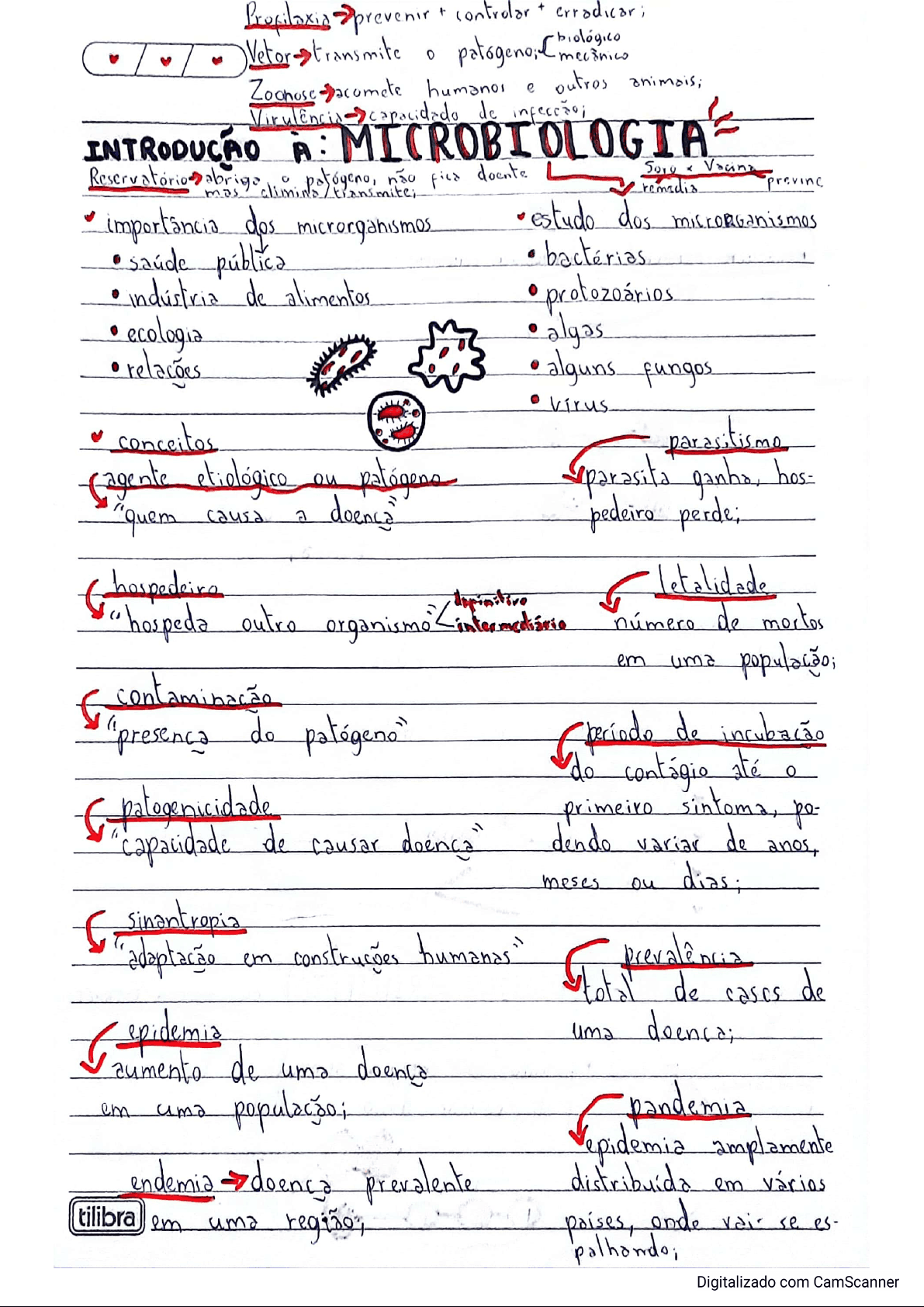 bg1