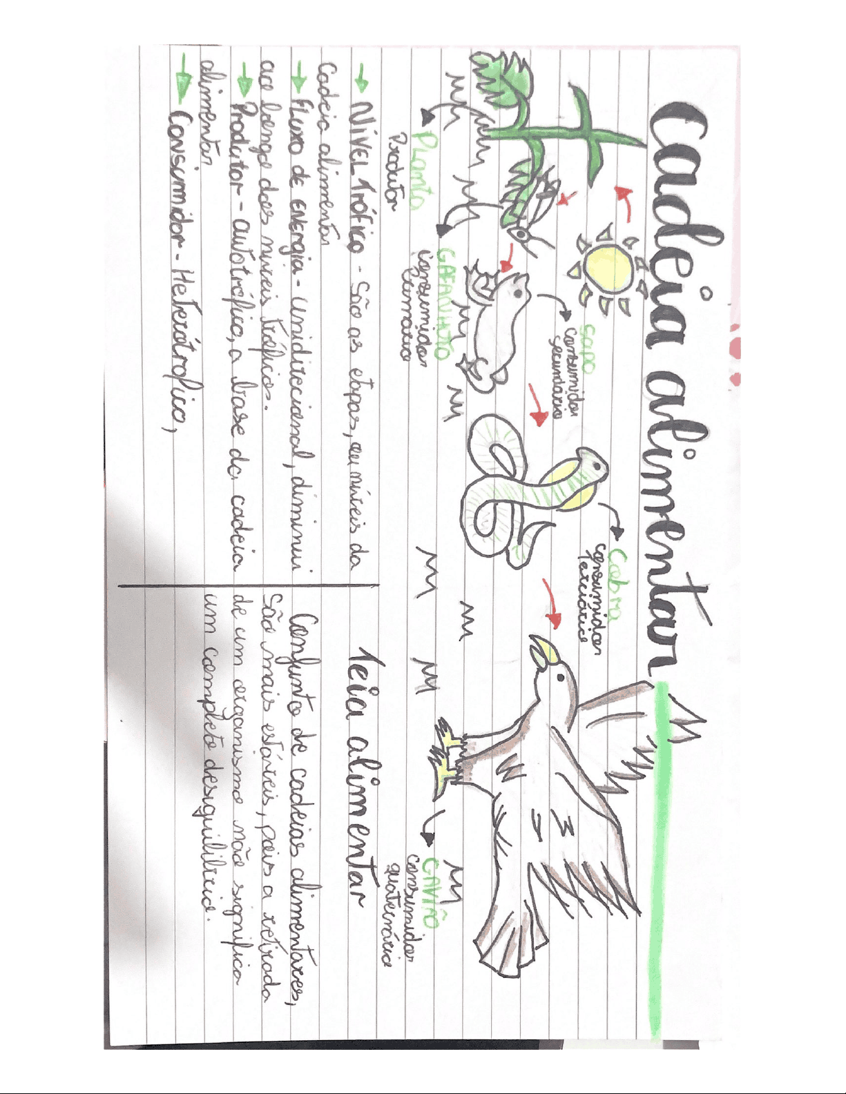 bg1