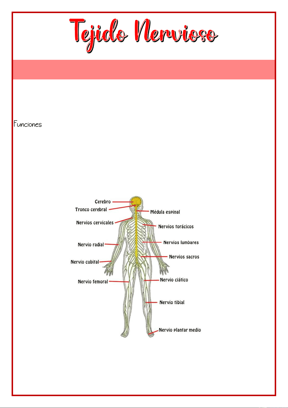 bg1