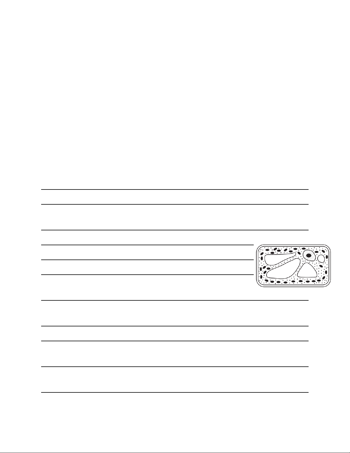 bg1