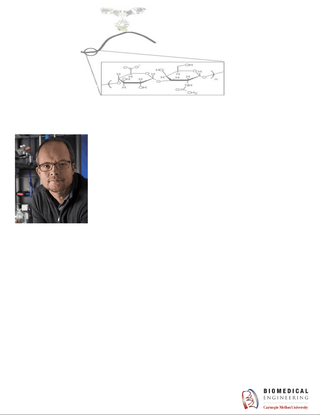 bg1