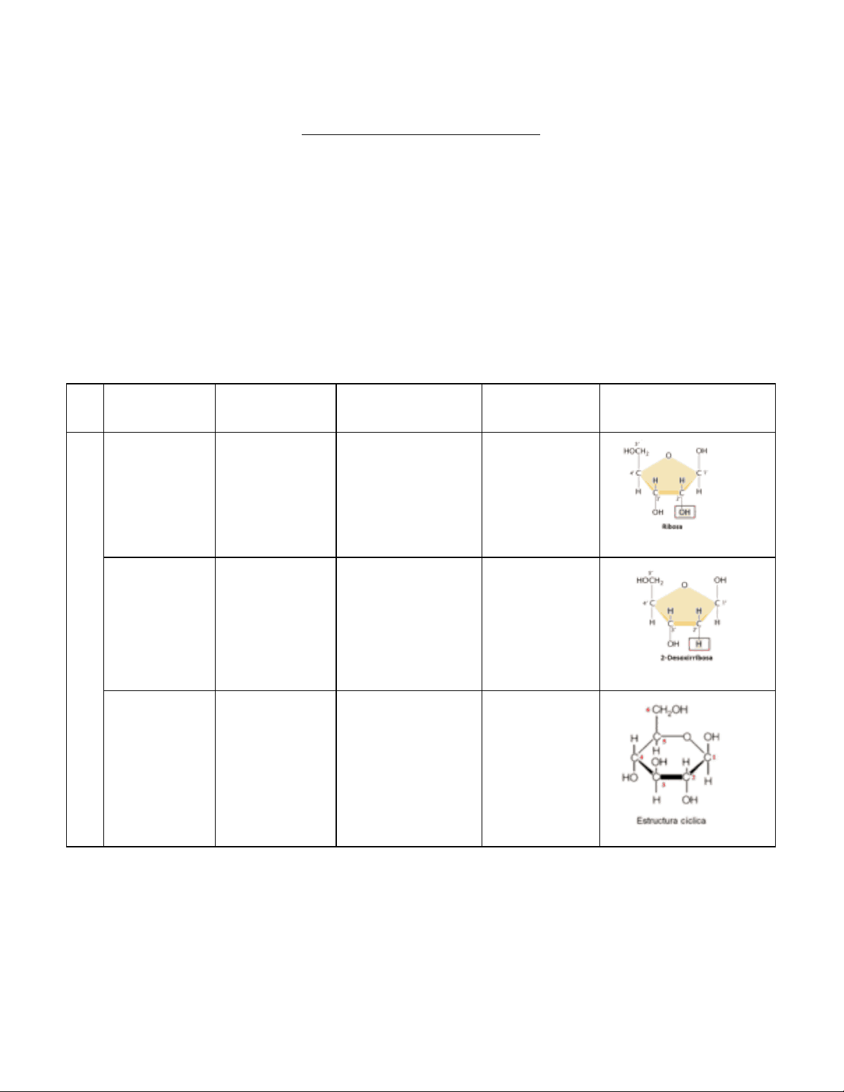bg1
