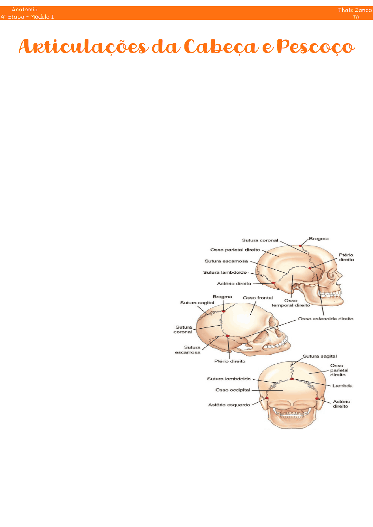 bg1