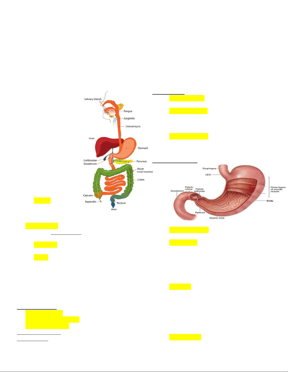 bg1