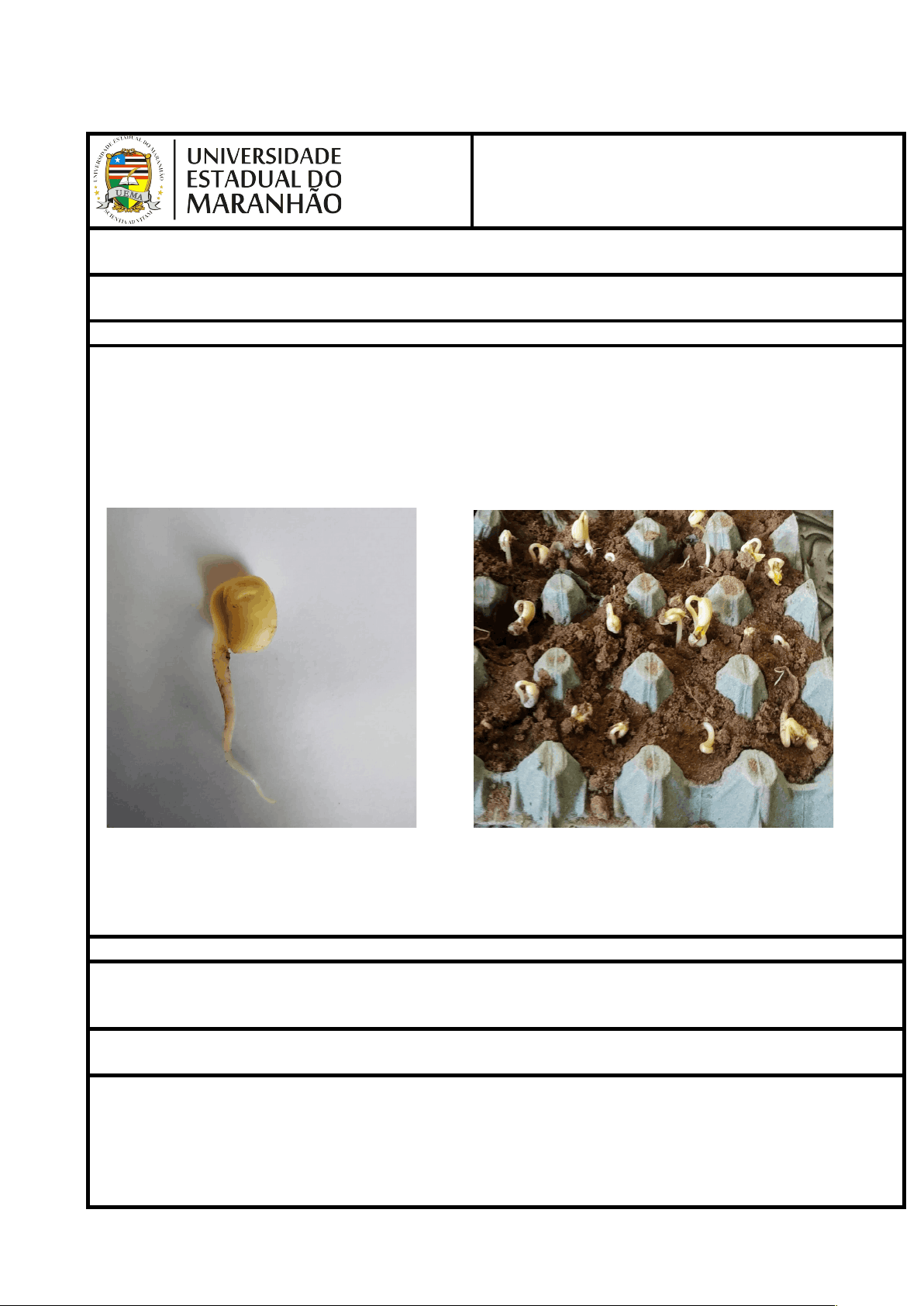 bg1