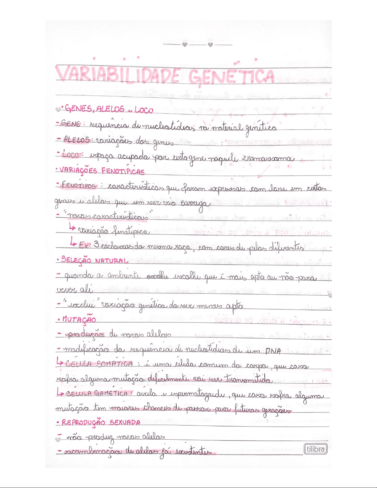 bg1
