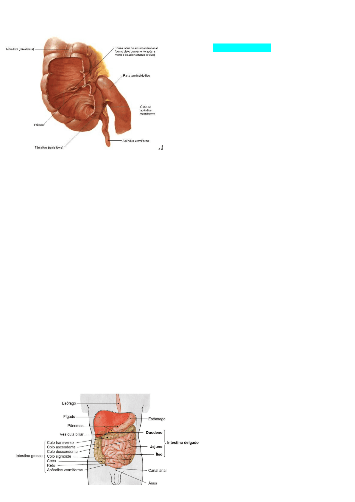 bg1