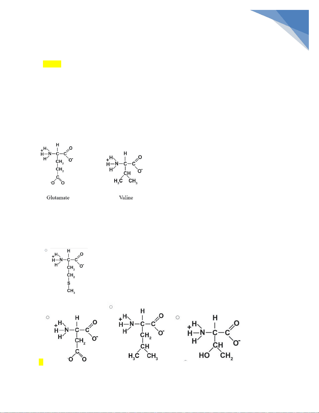bg1