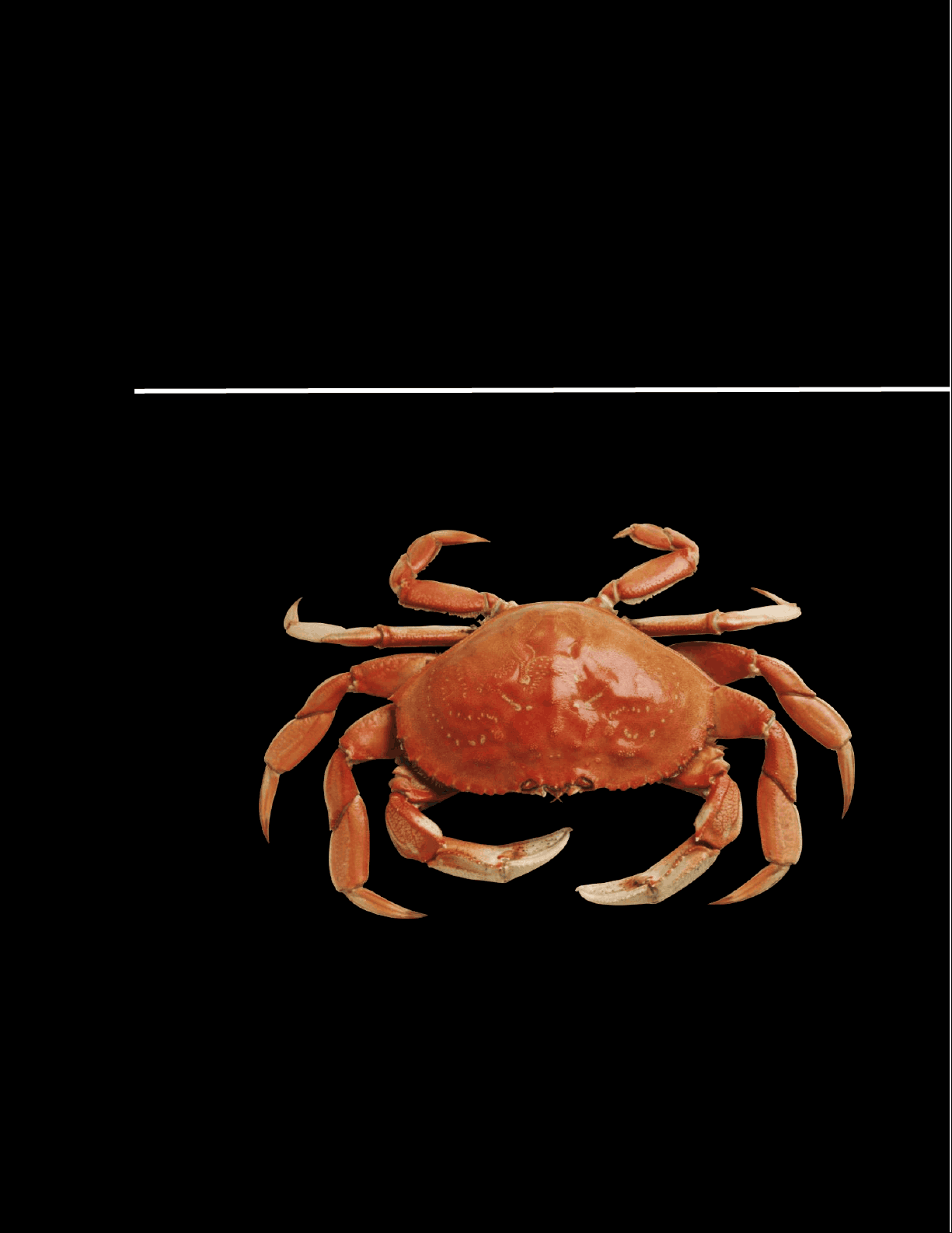 bg1