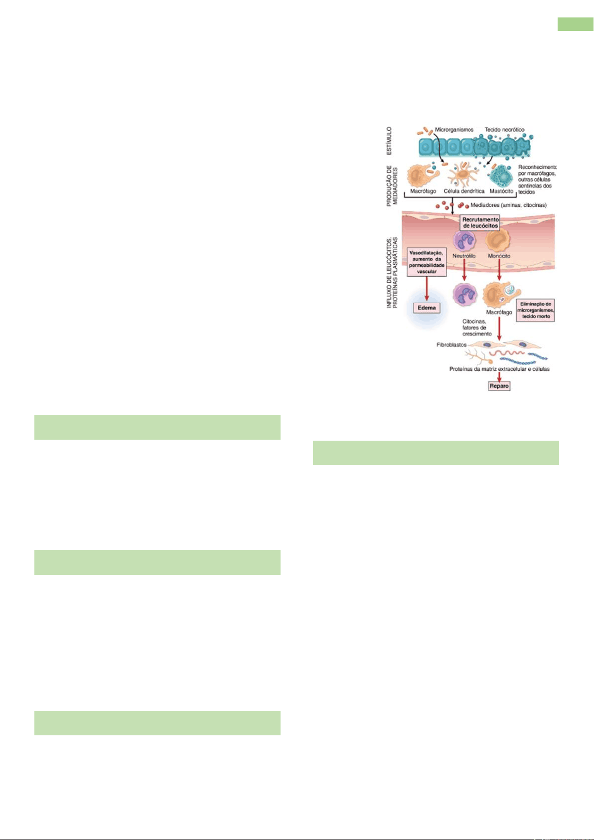 bg1