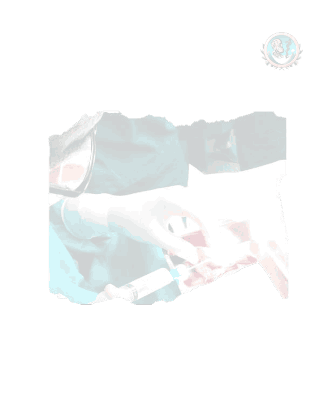 bg1