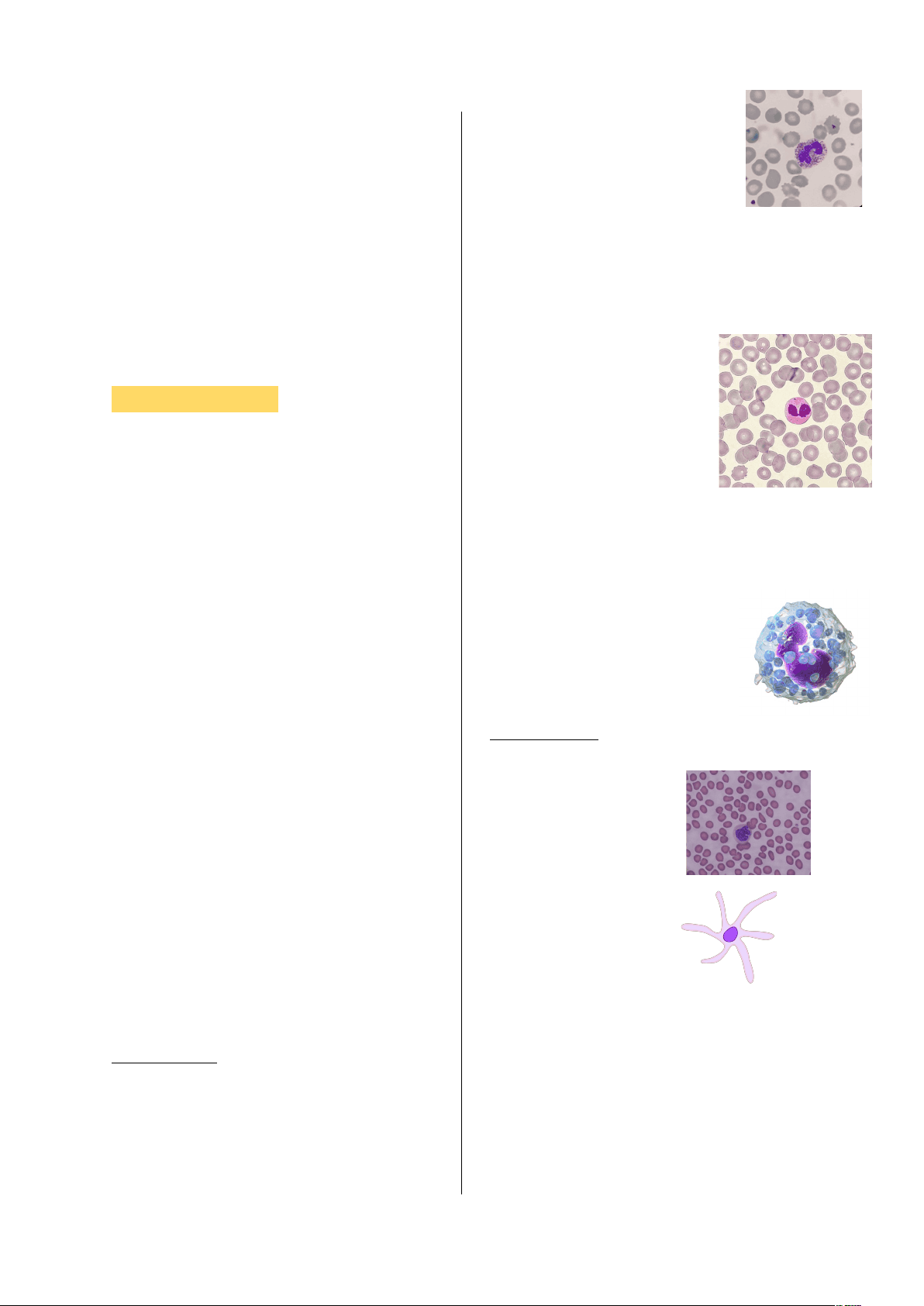 bg1