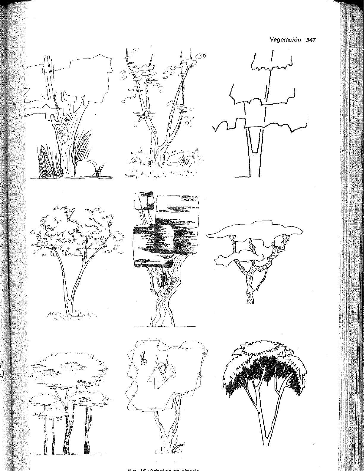 bg1