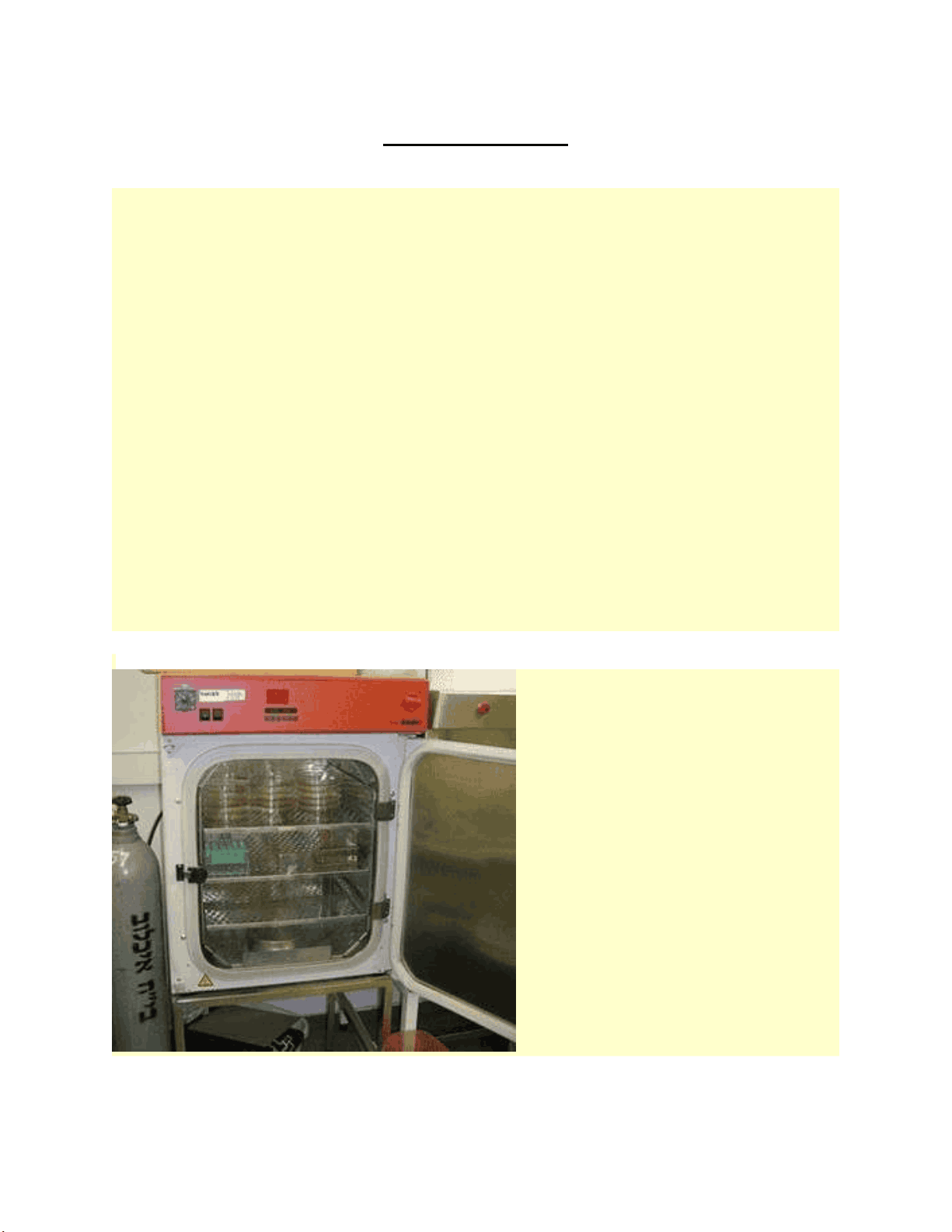 bg1