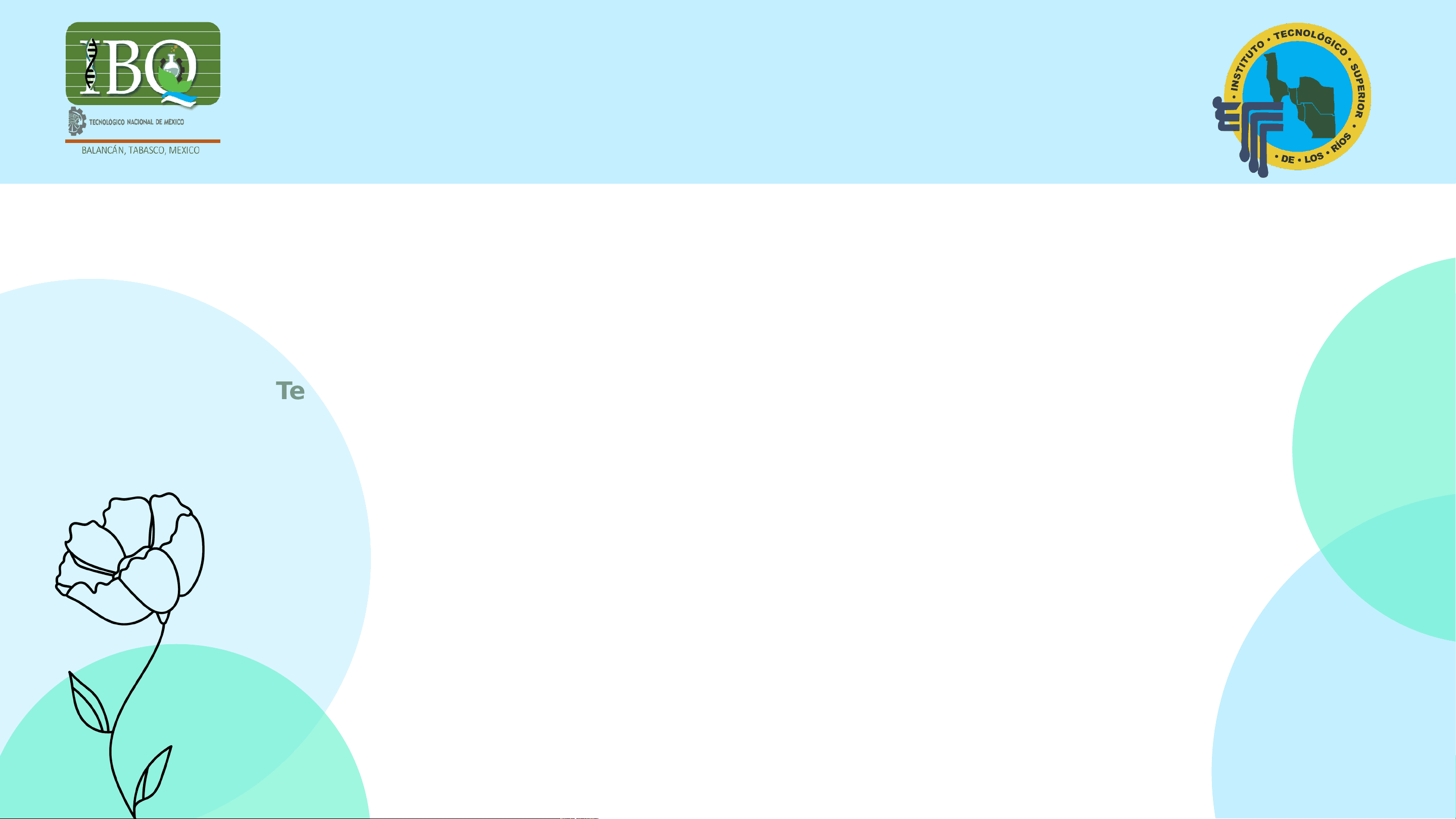 bg1