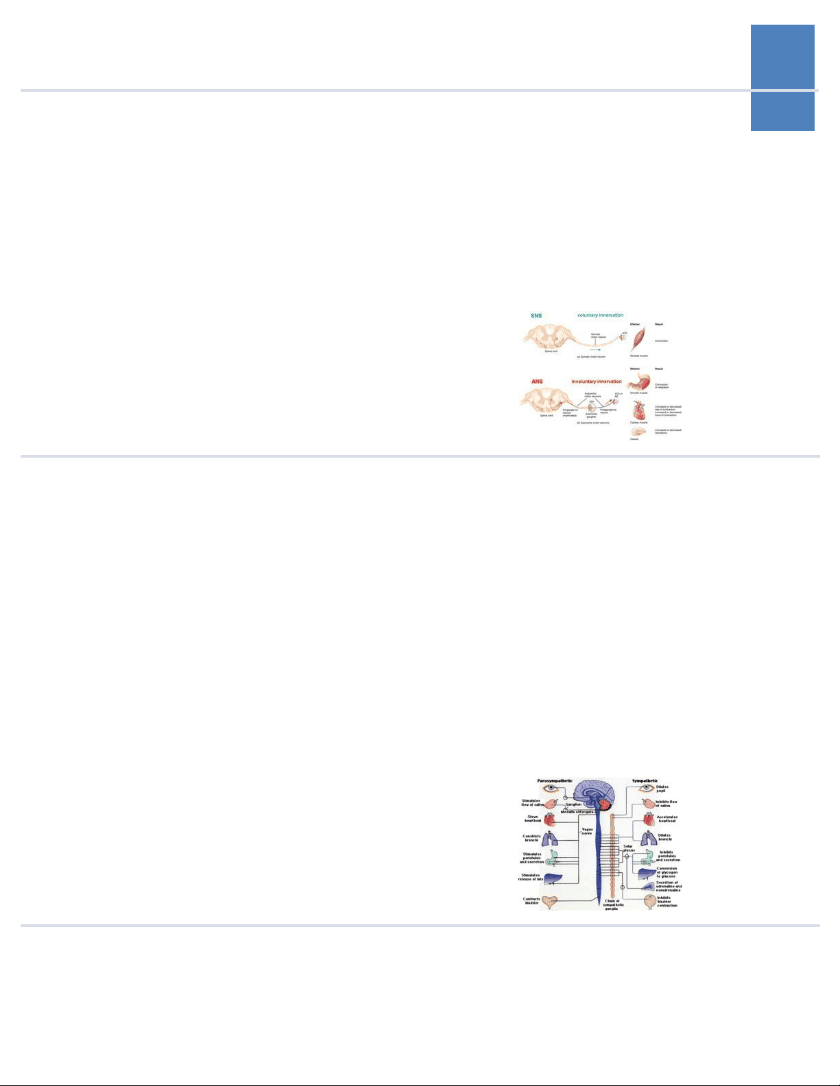 bg1