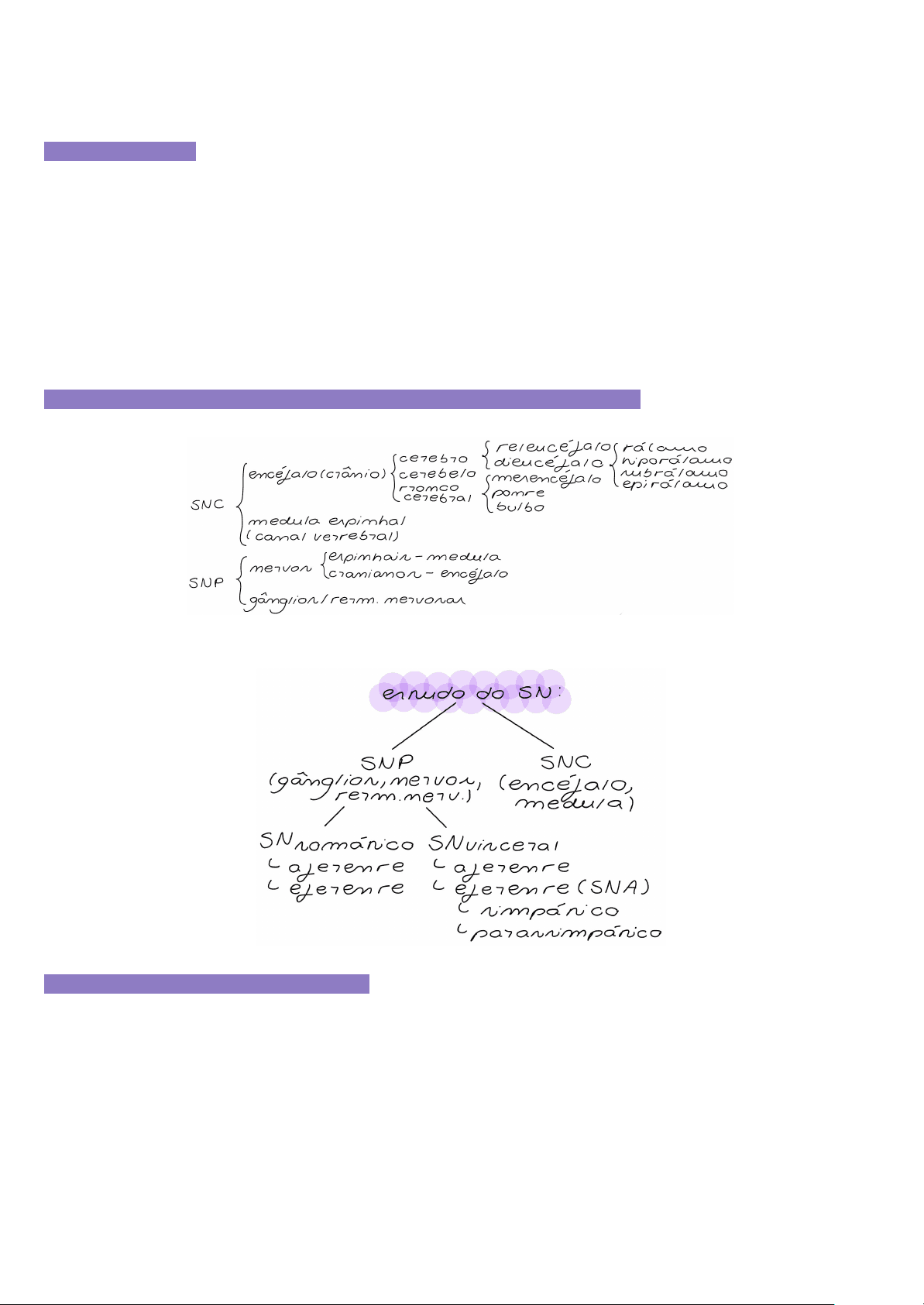bg1