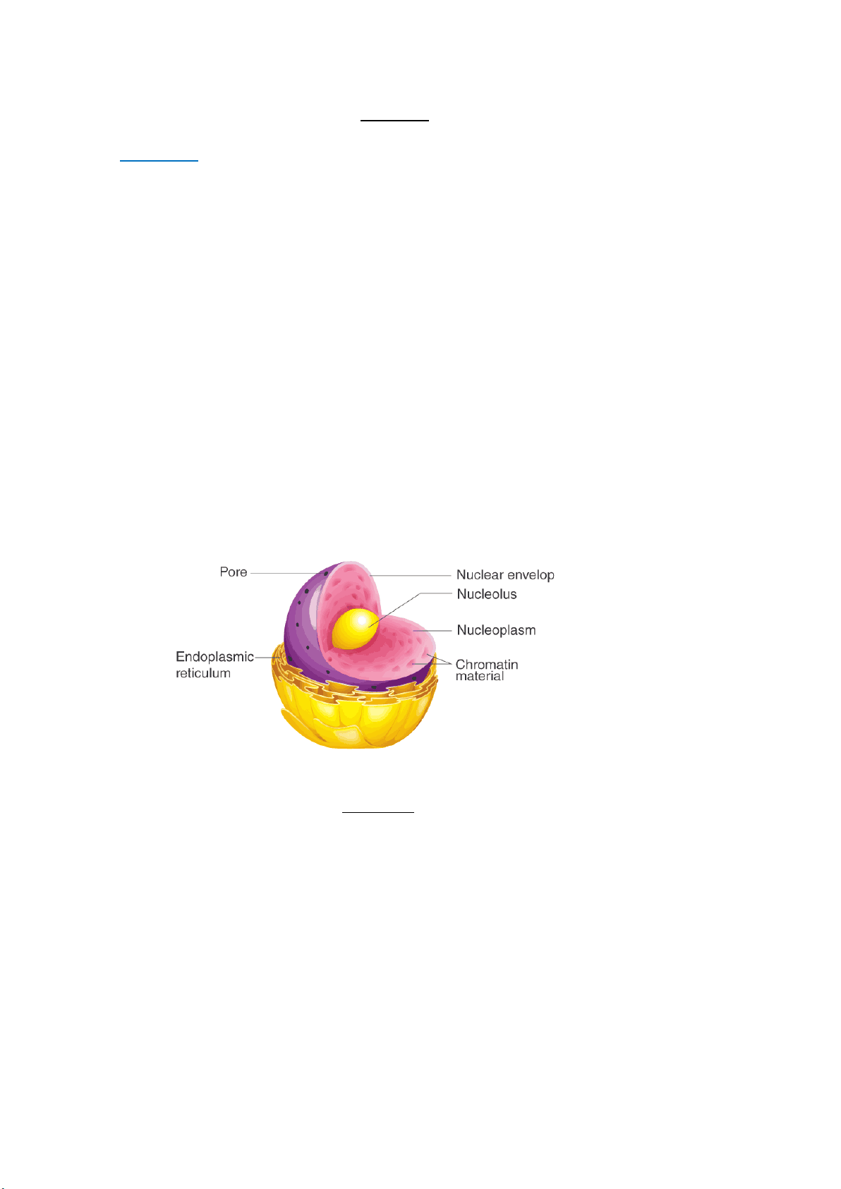 bg1