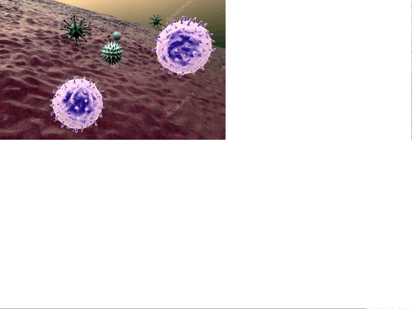 bg1
