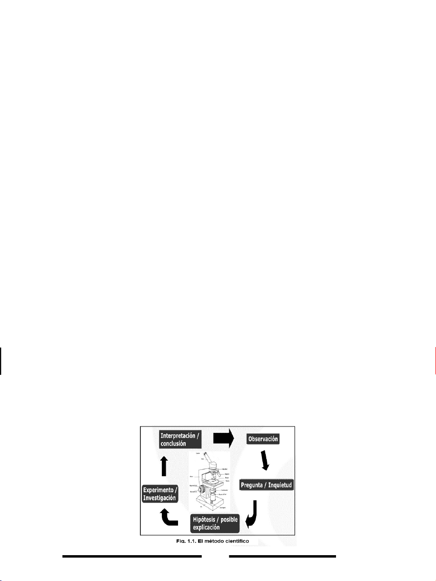 bg1