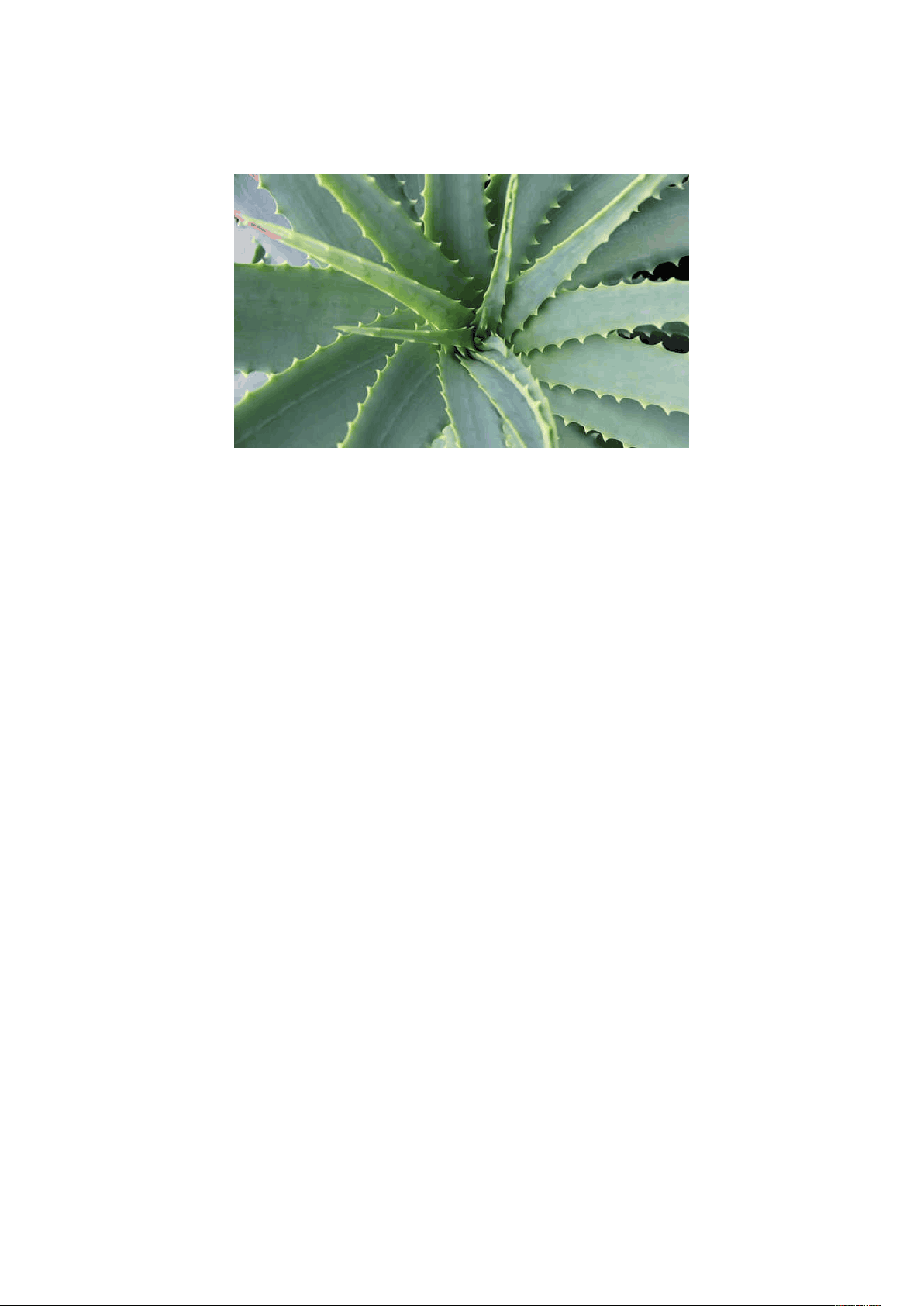 bg1