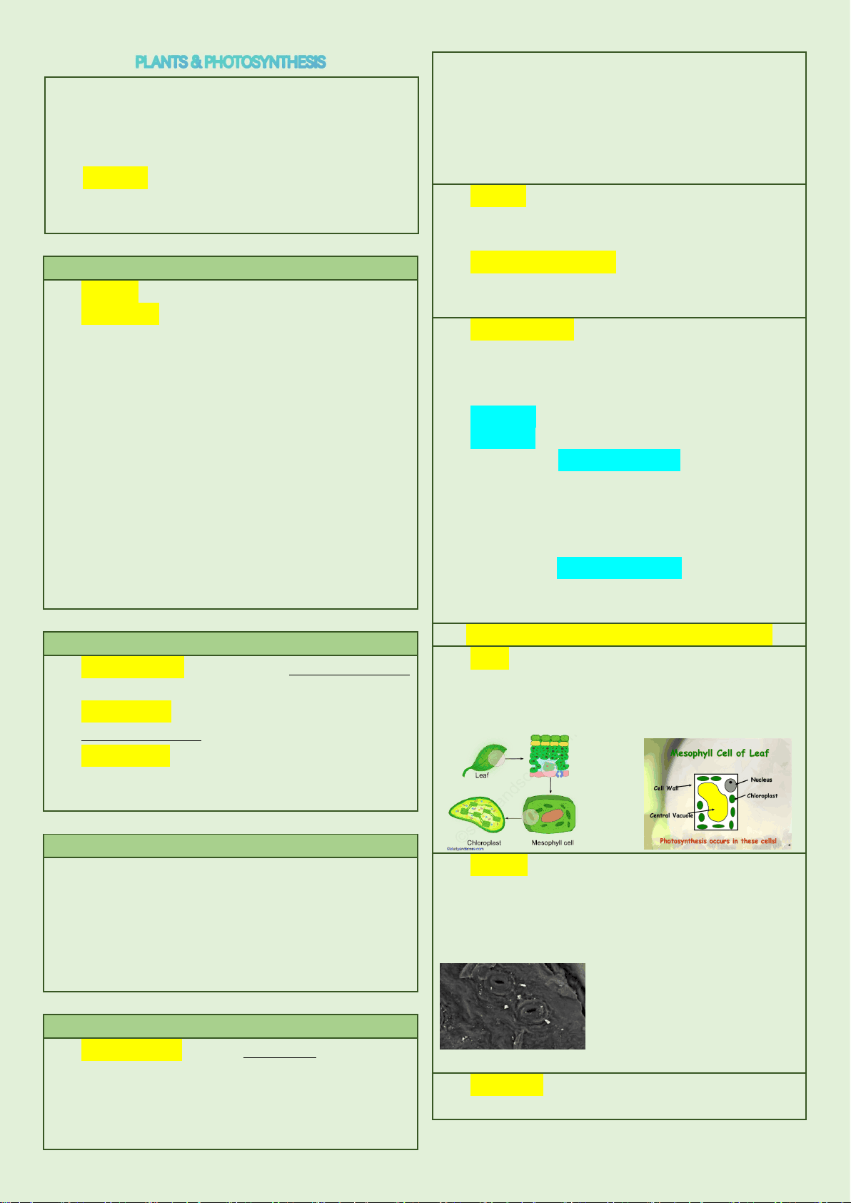 bg1