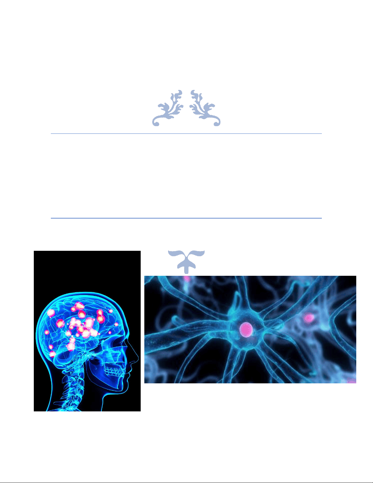 bg1