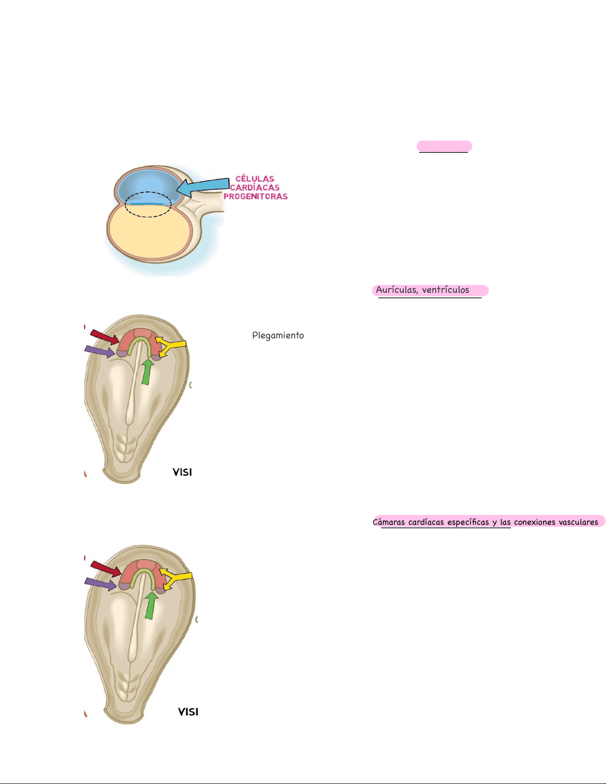 bg1