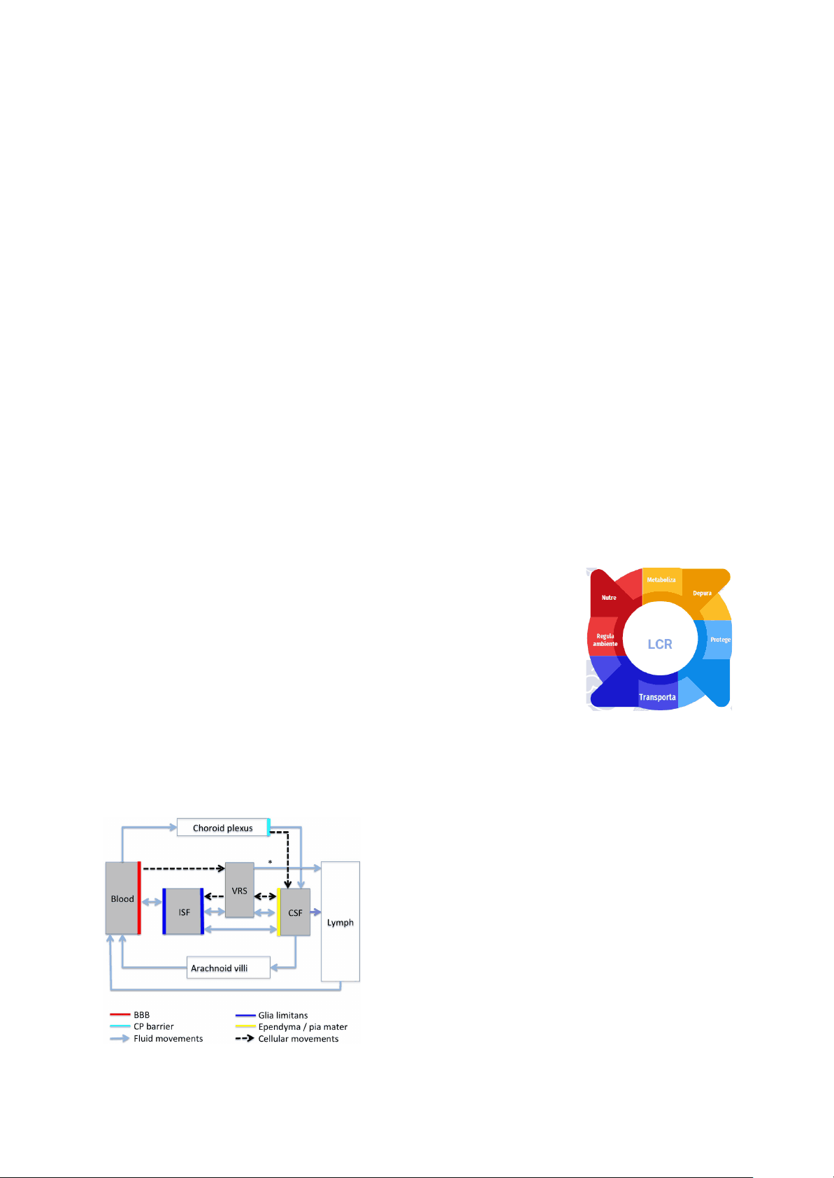 bg1