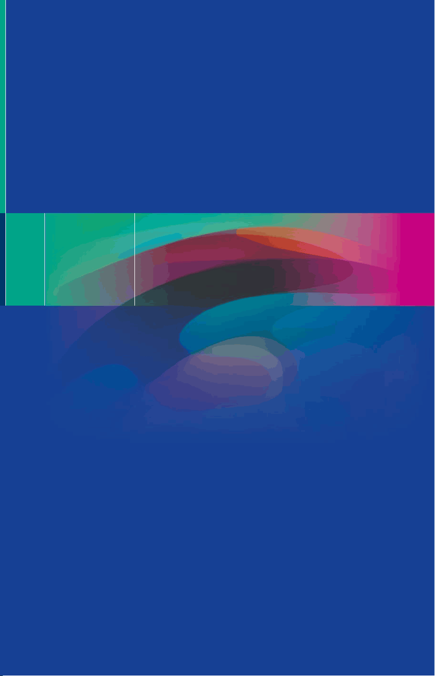 bg1